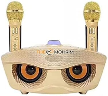 The Mohrim Karaoke Speaker Portable Bluetooth Karaoke System Machine With Bluetooth