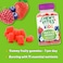 Chewy Vites Kids Multi-Vitamin Advance 60 Gummies