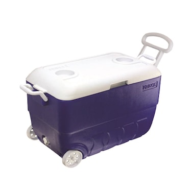 ANF Ice Box 50L