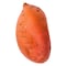 American Sweet Potato