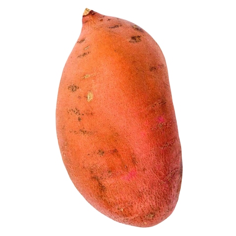 American Sweet Potato