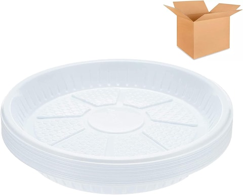 Lavish 500-Pack Of 10 Inch Disposable Plastic Plates For Tableware Birthday Parties Office Home Events Camping 26Cm
