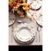 Tramontina Since 1911, Made In Brazil Ana Clara 20 Pieces Decorated Porcelain Dinner Set