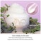 Elizavecca Gold Cf Nest B Jo Eye Want Cream, 3.4 Ounce