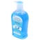 Caresse Naturals Anti Bacterial Hand Wash Softens &amp; Moisturizes 500ml