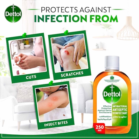 Dettol Antiseptic Antibacterial Disinfectant Liquid, 250ml