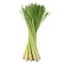 Lemon Grass