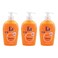 FA Hygiene And Fresh Anti Bacterial Orange Liquid Hand Soap 250ml Pack of 3