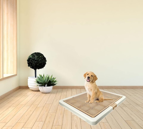 Dog Toilet for Training, dog potty training, Indoor Outdoor, Keep paws and floor clean, Small breed dog Toilet with tray, Portable, Easy To Clean, Reliable, Beige &amp; Brown Colors, Small 66 Cm Length