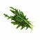 Rocca Leaves (Per Bunch)
