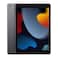 Apple iPad 9th Generation 3GB 256GB Wi-Fi Tablet 10.2 Inch Space Grey