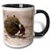 3dRose mug_72690_4"Namibia, Etosha NP, Dung Beetle insect-AF31 PSO0122 - Paul Souders" Two Tone Black Mug, 11 oz, Multicolor