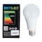 Sky Led Eco Bulb B22 240 V