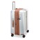 Delsey Promenade Hard 2.0 4 Wheel Luggage Trolley Silver 82cm