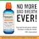 The Breath Co Fresh Breath Oral Rinse - Icy Mint, 500 ml