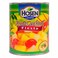 Hosen Fruit Cocktail Fiesta Syrup 836G