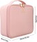 Generic Travel Makeup Train Case Makeup Cosmetic Case Organizer Portable Artist Storage Bag 10.3&#39;&#39; With Adjustable Dividers For Cosmetics Makeup Brushes Toiletry (Pink)