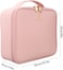 Generic Travel Makeup Train Case Makeup Cosmetic Case Organizer Portable Artist Storage Bag 10.3'' With Adjustable Dividers For Cosmetics Makeup Brushes Toiletry (Pink)
