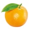 Mandarine Egypt