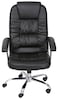Generic Executive Office Chair