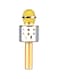 Generic Ws-858 Karaoke Microphone 2720000000000 Gold