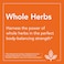 Now Foods, Yucca 100 Capsules 53816