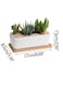 Generic 2 Pcs White Ceramic Rectangle Planter With Bamboo Tray, Planters For Succulents, Indoor Home Decor, 2 Rectangle Cactus Pot Set