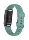 Fitme 2-Piece Classic Silicone Band For Fitbit, Luxe Green