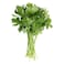 Organic Italian Parsley - Tray 100g