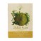 Natural Forever Henna Gold 250 gr