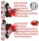 EASY FUTURE Inline Skates Adjustable Size Roller Skates with Flashing Wheels for Outdoor Indoor Children Skate Shoes Including Full Protective Gear Set Red Small (31-34)