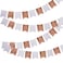 Rose Gold Foiled Flag Bunting 10m