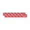 Clorets Cinnamint Gum, 10 Pieces - Pack of 12