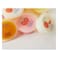 Cocon Jelly Pudding Assorted 6x80 gr