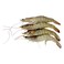 Frozen Shrimp 3040