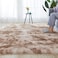 Extra Soft Tie Dyed Living Room Faux Fur Fluffy Carpet With Anti-Slip Bottom. (Size 80&times;160CM)