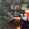 3L Pressure Sprayer Watering Bottle Spray , Portable Pressurized Sprayer Multifunctional Pressure Watering Bottle for Garden, Plant, Flower (3 Litre, 2 Pack Orange)