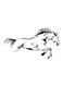 Spoil Your Wall Horse Themed Wall Decal Sticker Black 100x60cm