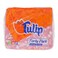 Tulip Party Pack Multipurpose Tissues 250 Sheets