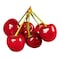 Red Cherry