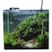 Aqua Viu Curved Glass Tanks - 35 x 20 x 23 cm