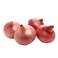 Baby Onion Red Pack