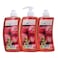 Ecofresh Liquid Hand Soap Pomegranate 500ml Pack of 3