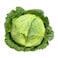 Savoy Cabbage 