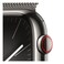 Apple Watch Series 9 LTE 41mm Graphite Stainless Steel Graphite Milanese Loop