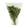 Fresh Coriander 50g