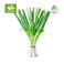 Organicgreen Onion - Bag 100g