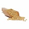 Soya Beans