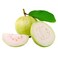 Guava
