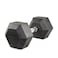 Harley Fitness 25.00KG Rubber Coated Fixed Hex Dumbbell 1 Pair